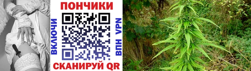 Марихуана гибрид  даркнет сайт  Краснообск 